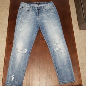 Judy Blue Skinny Jeans
